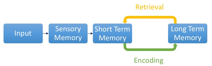 Encoding and retrieval of memory. Details in caption and text.