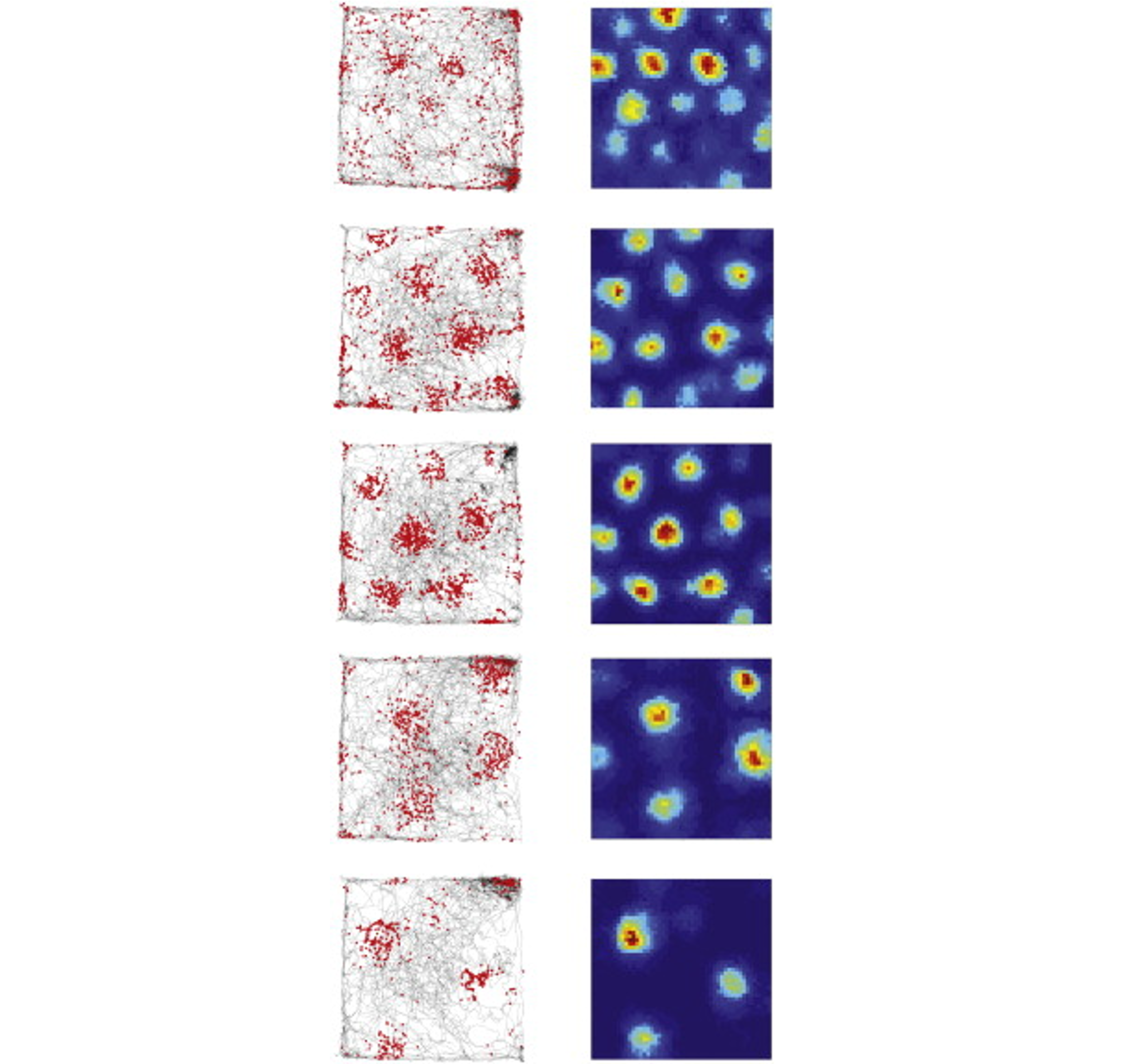 Memory Systems Introduction to Neuroscience