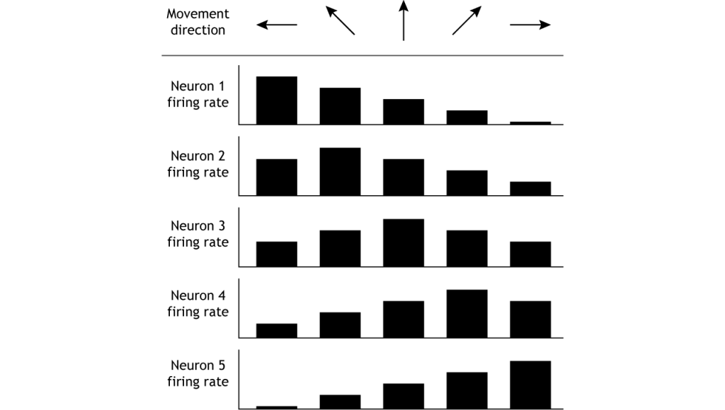 Illustration of neuron firing rates in response to movement in different directions. Details in caption.