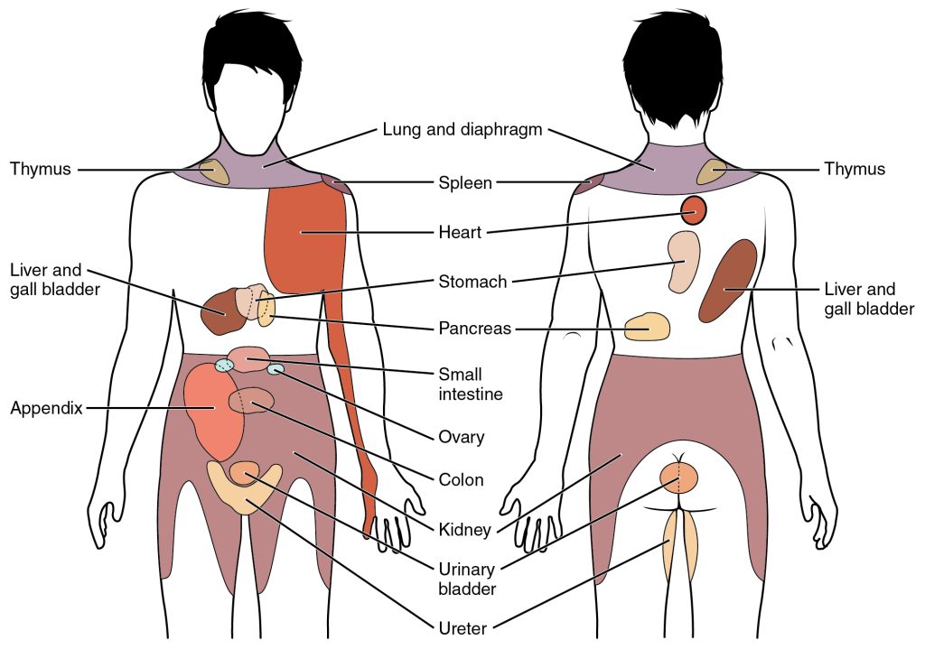 Image of referred pain. Details in caption and text.