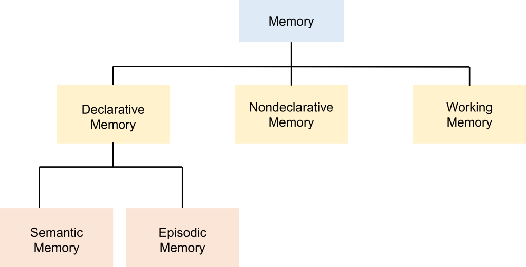 Flow chart of different types of memory. Details in caption and text.