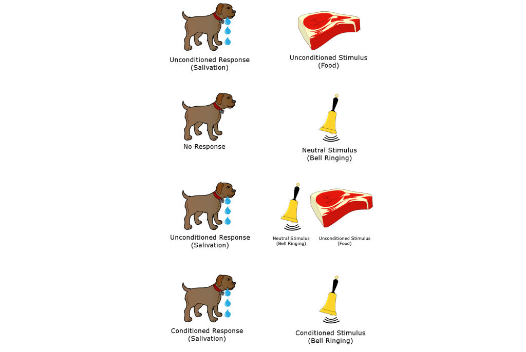 Associative learning example. Details in caption and slide.