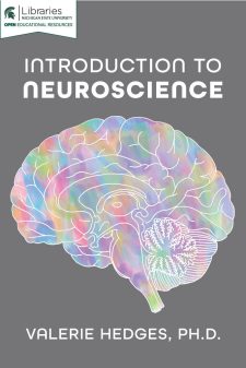 Introduction to Neuroscience book cover
