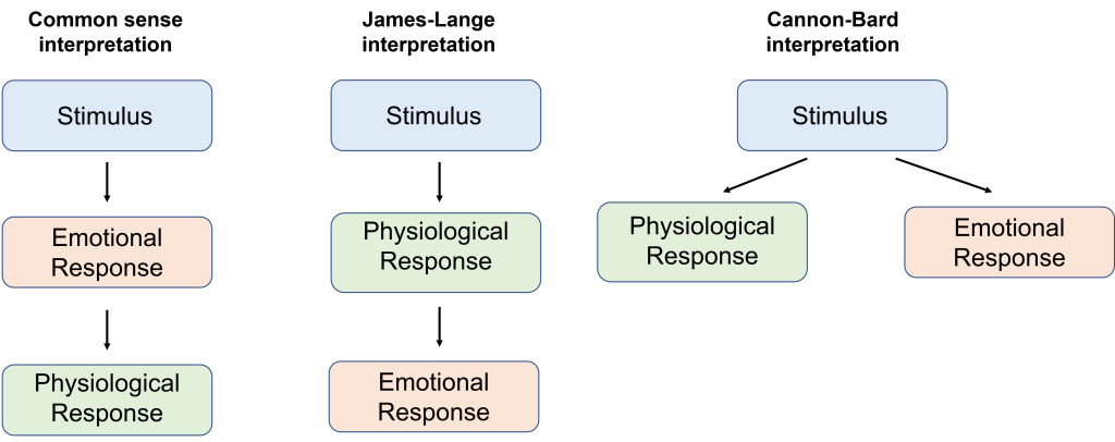 Image of the theories of emotion. Comparison of the common-sense interpretation, the James-Lange interpretation and the Cannon-Bard interpretation  of emotions. Details in caption and text.