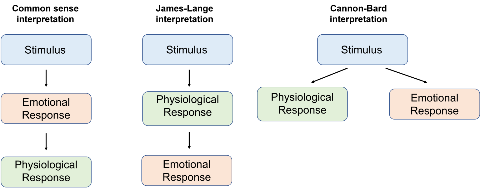 emotions-overview-introduction-to-neuroscience