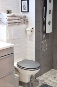 image of a white toilet with gray lid