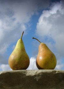two Pears in an image